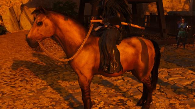 No Saddle for Ghost of Tsushima