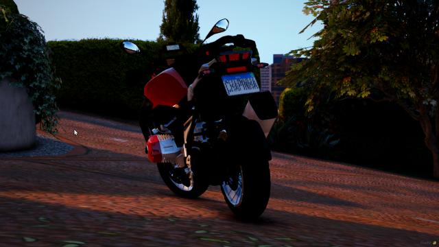 BMW R1250GS [Add-On | FiveM] for GTA 5