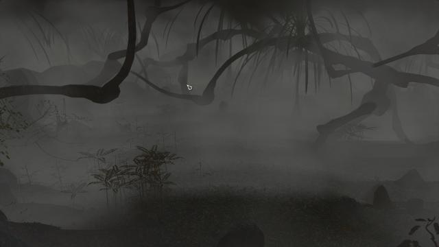 Fog in the swamp