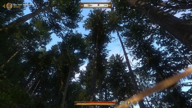 Shooting Nests Gives XP for Kingdom Come: Deliverance
