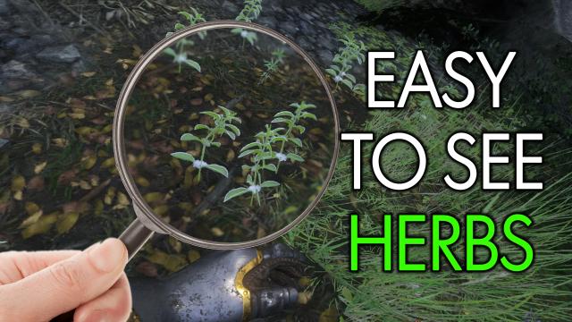 Easy To See Herbs