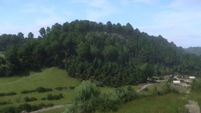 Force High Quality Trees in the distance for Kingdom Come: Deliverance