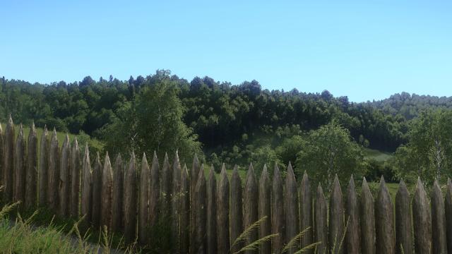 Force High Quality Trees in the distance for Kingdom Come: Deliverance