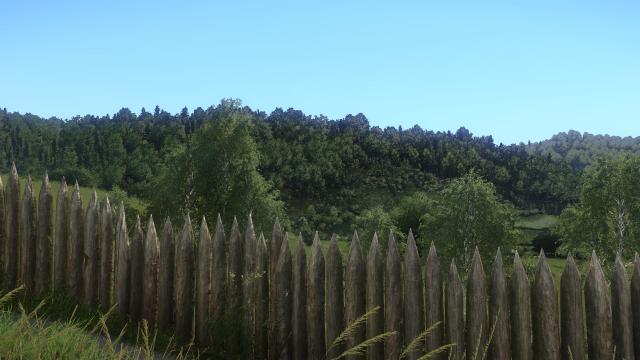 Force High Quality Trees in the distance for Kingdom Come: Deliverance