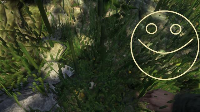 First-person Herb Picking for Kingdom Come: Deliverance