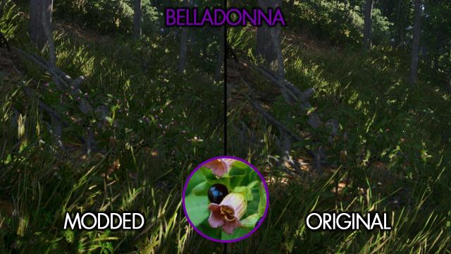 Easy To See Herbs II для Kingdom Come: Deliverance 2