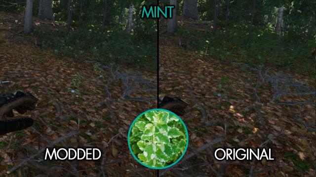 Easy To See Herbs II для Kingdom Come: Deliverance 2