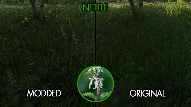 Easy To See Herbs II для Kingdom Come: Deliverance 2