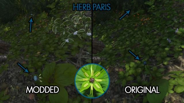 Easy To See Herbs II для Kingdom Come: Deliverance 2