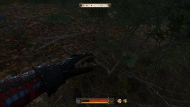 Easy To See Herbs II для Kingdom Come: Deliverance 2