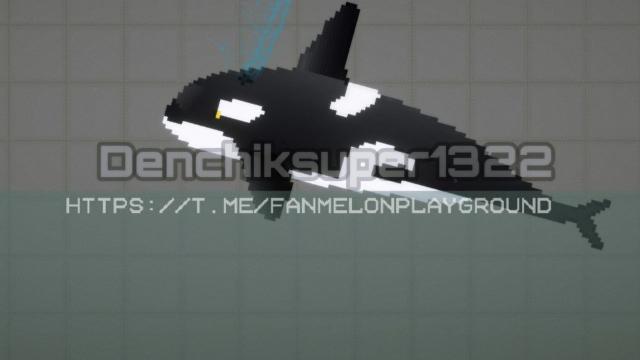 NPC killer whale