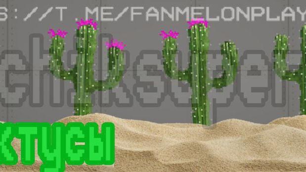 Cactus for Melon Playground