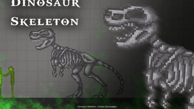 Скелет динозавра / Dinosaur skeleton