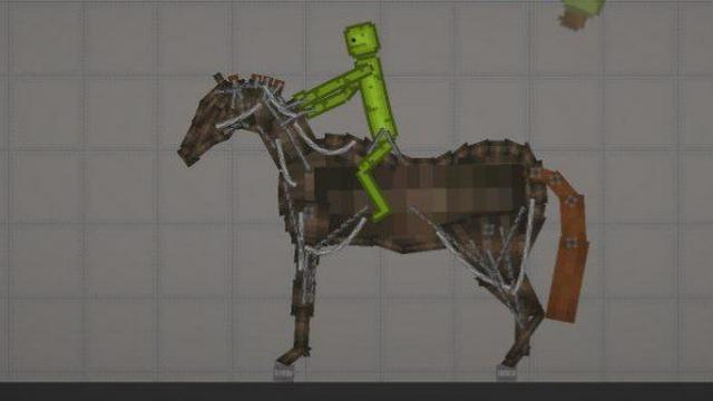 Horse