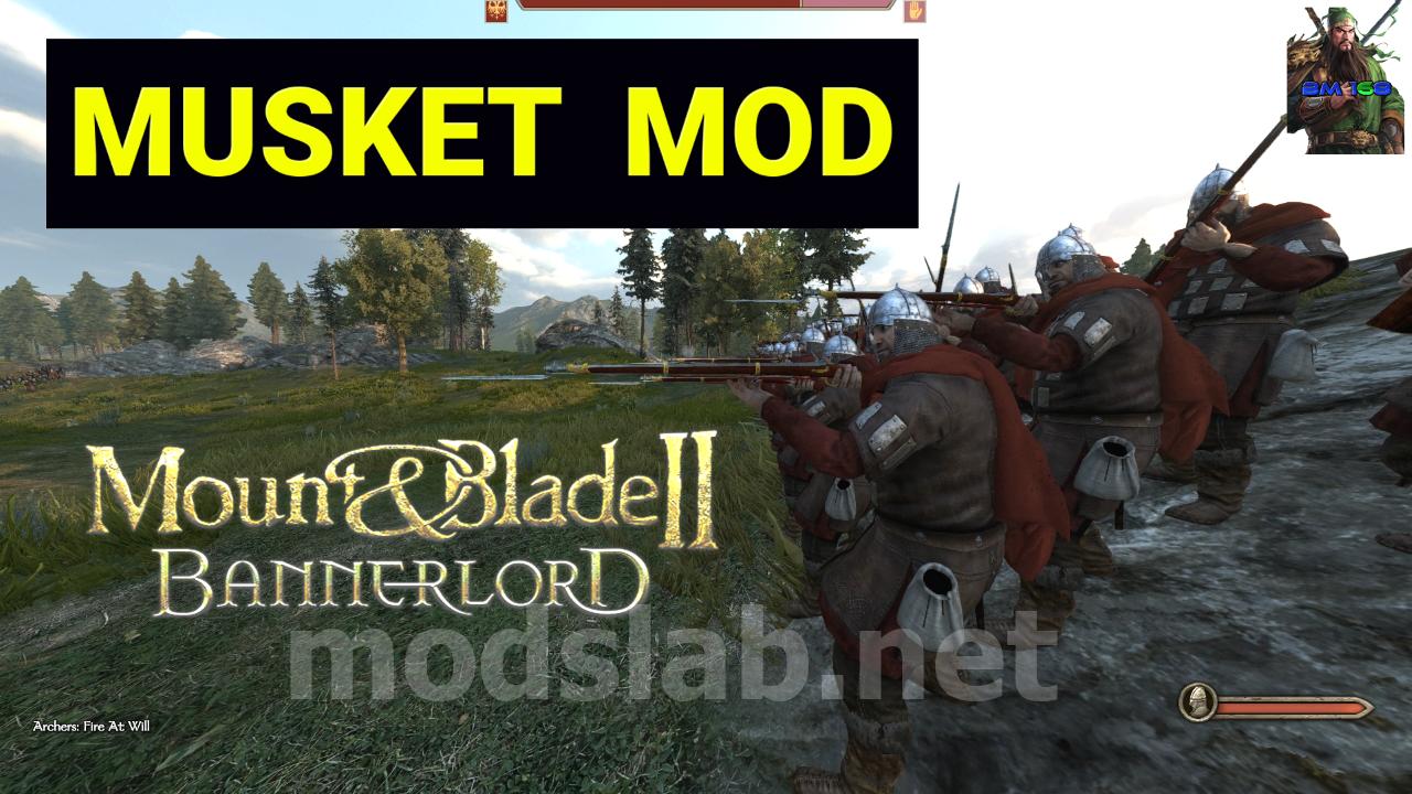 mount and blade bannerlord co op mod