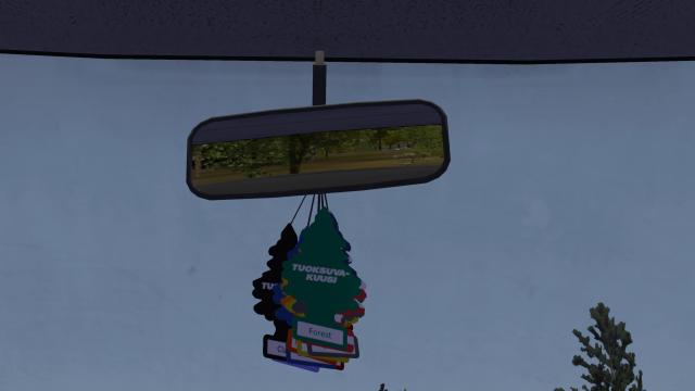 Mirror Accessories для My summer car