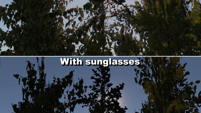 Wearable Sunglasses для My summer car