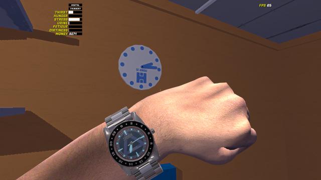 24-   24 Hour Watch for My summer car