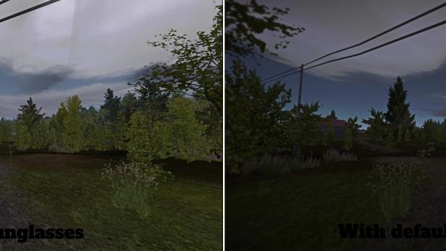 Sunglasses для My summer car