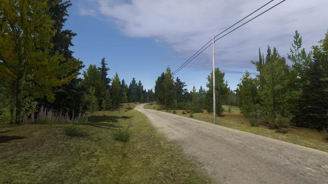 Natural Summer Reshade для My summer car