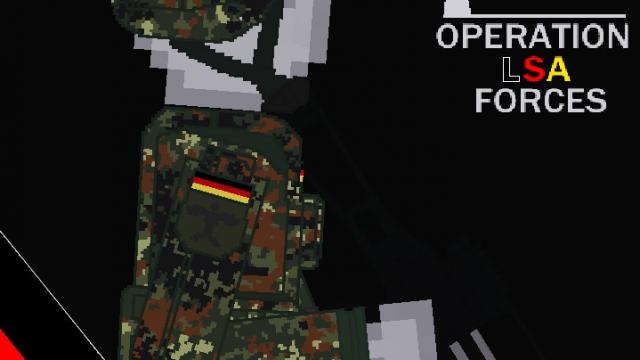 Operation LSA Forces: Germany