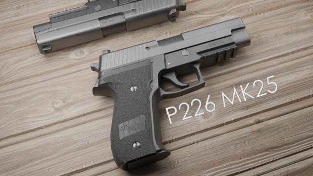 P226 MK25 for Ready Or Not