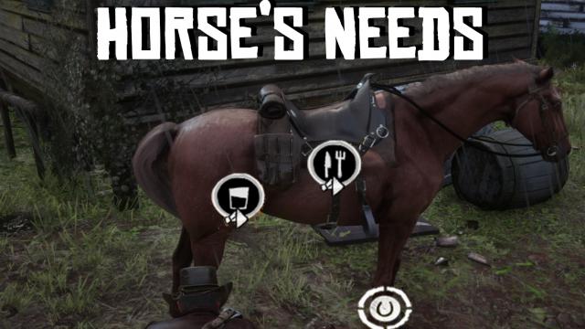 Потребности лошадей / Horse's Needs