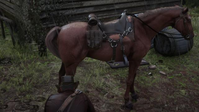 Horse's Needs for Red Dead Redemption 2