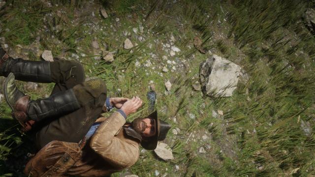 -    Simple Slow Fall for Red Dead Redemption 2