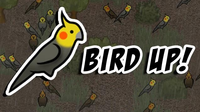 Bird Up Bundle