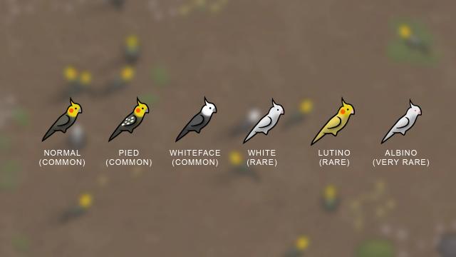 Bird Up Bundle для Rimworld