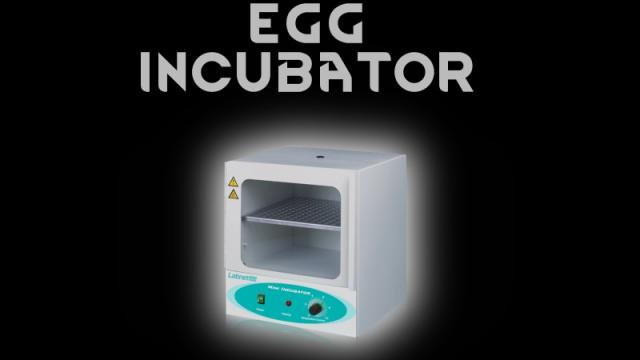 Инкубатор для яиц / Egg Incubator