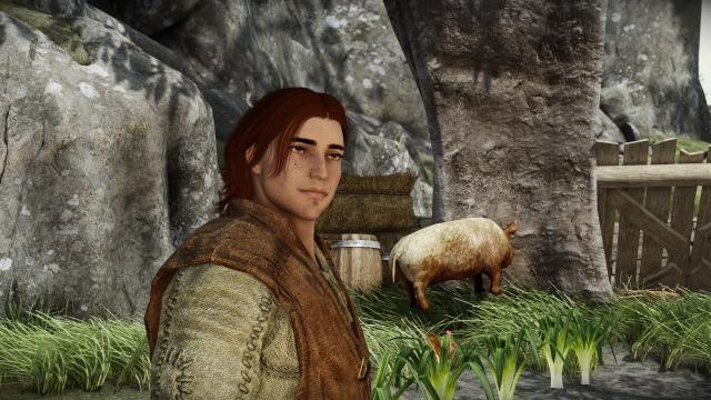 HSF's Erik NPC Replacer for Skyrim SE-AE