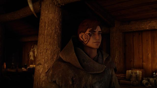 HSF's Erik NPC Replacer for Skyrim SE-AE