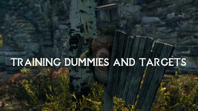 Training Dummies and Targets SSE