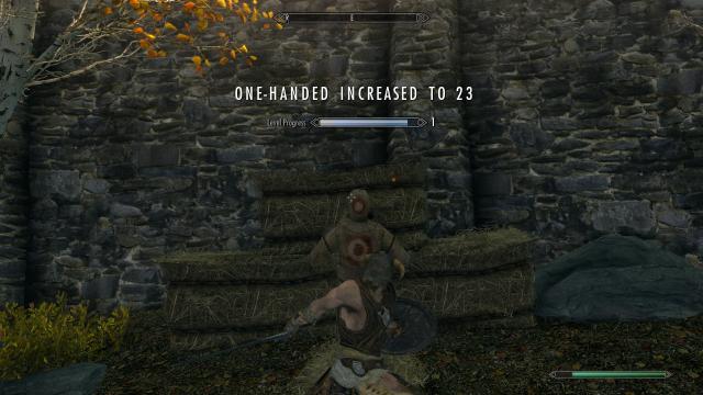 Training Dummies and Targets SSE for Skyrim SE-AE