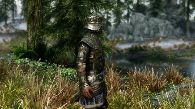 Crown Plate Set для Skyrim SE-AE