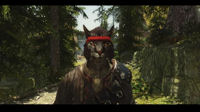 Bandanas of Skyrim for Skyrim SE-AE