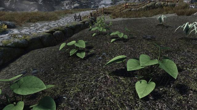 Improved Gourds for Skyrim SE-AE