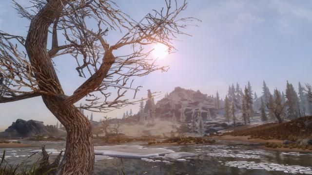 HD Dead Trees and Driftwoods - HD for Skyrim SE-AE