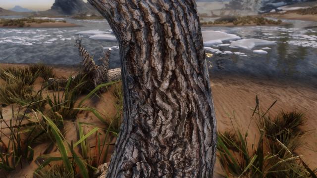 HD Dead Trees and Driftwoods - HD for Skyrim SE-AE