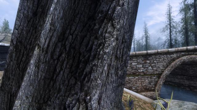 HD Dead Trees and Driftwoods - HD Засохшие деревья для Skyrim SE-AE