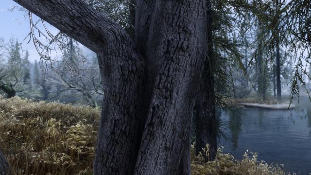 HD Dead Trees and Driftwoods - HD Засохшие деревья для Skyrim SE-AE