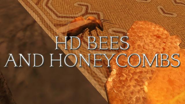 HD      HD Bees and Honeycombs