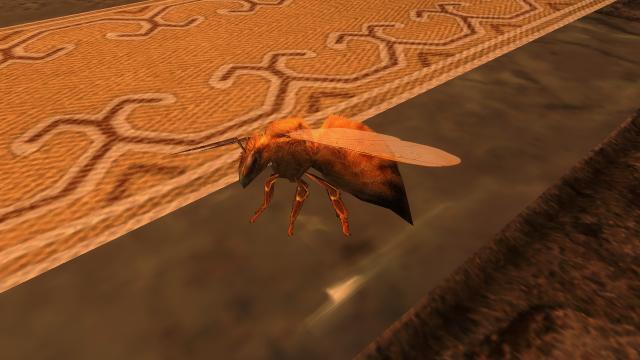 HD      HD Bees and Honeycombs for Skyrim SE-AE