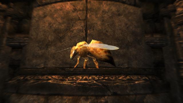 HD      HD Bees and Honeycombs for Skyrim SE-AE