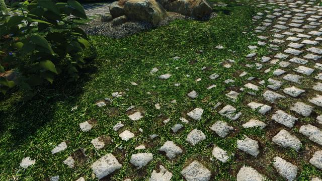 Solitude Grass Textures for Skyrim SE-AE