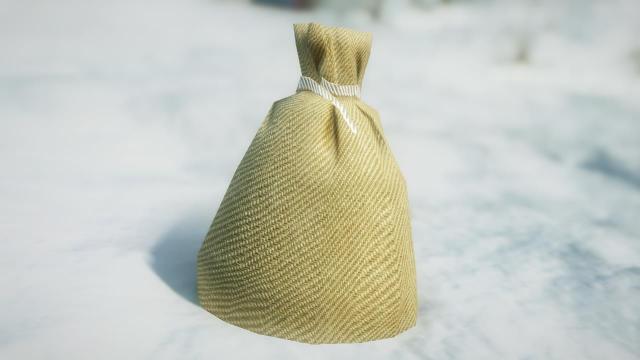 ElSopa - Unique Coin Bags HD SE for Skyrim SE-AE