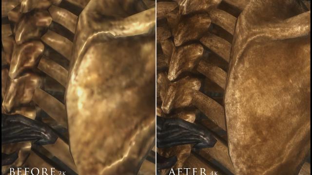 HD   Skeleton for Skyrim SE-AE