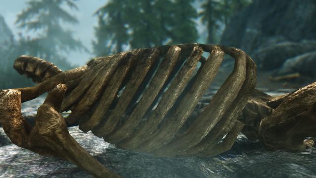 HD   Skeleton for Skyrim SE-AE